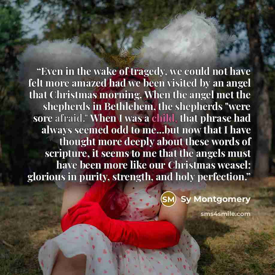 “Even in the wake of tragedy, we could not have felt more amazed had we been visited by an angel that Christmas morning. When the angel met the shepherds in Bethlehem, the shepherds "were sore afraid." When I was a child, that phrase had always seemed odd to me...but now that I have thought more…” quote by Sy Montgomery