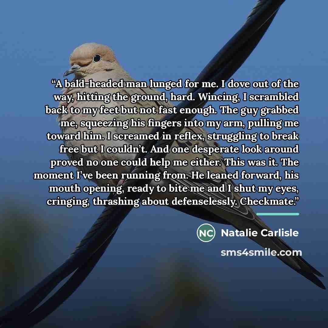 “A bald-headed man lunged for me. I dove out of the way, hitting the ground, hard. Wincing, I scrambled back to my feet but not fast enough. The guy grabbed me, squeezing his fingers into my arm, pulling me toward him. I screamed in reflex, struggling to break free but I couldn’t. And one desperate…” quote by Natalie Carlisle