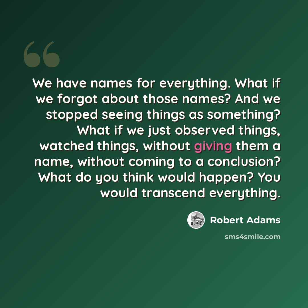 “We have names for everything. What if we forgot about those names? And we stopped seeing things as something? What if we just observed things, watched things, without giving them a name, without coming to a conclusion? What do you think would happen? You would transcend everything.” quote by Robert Adams