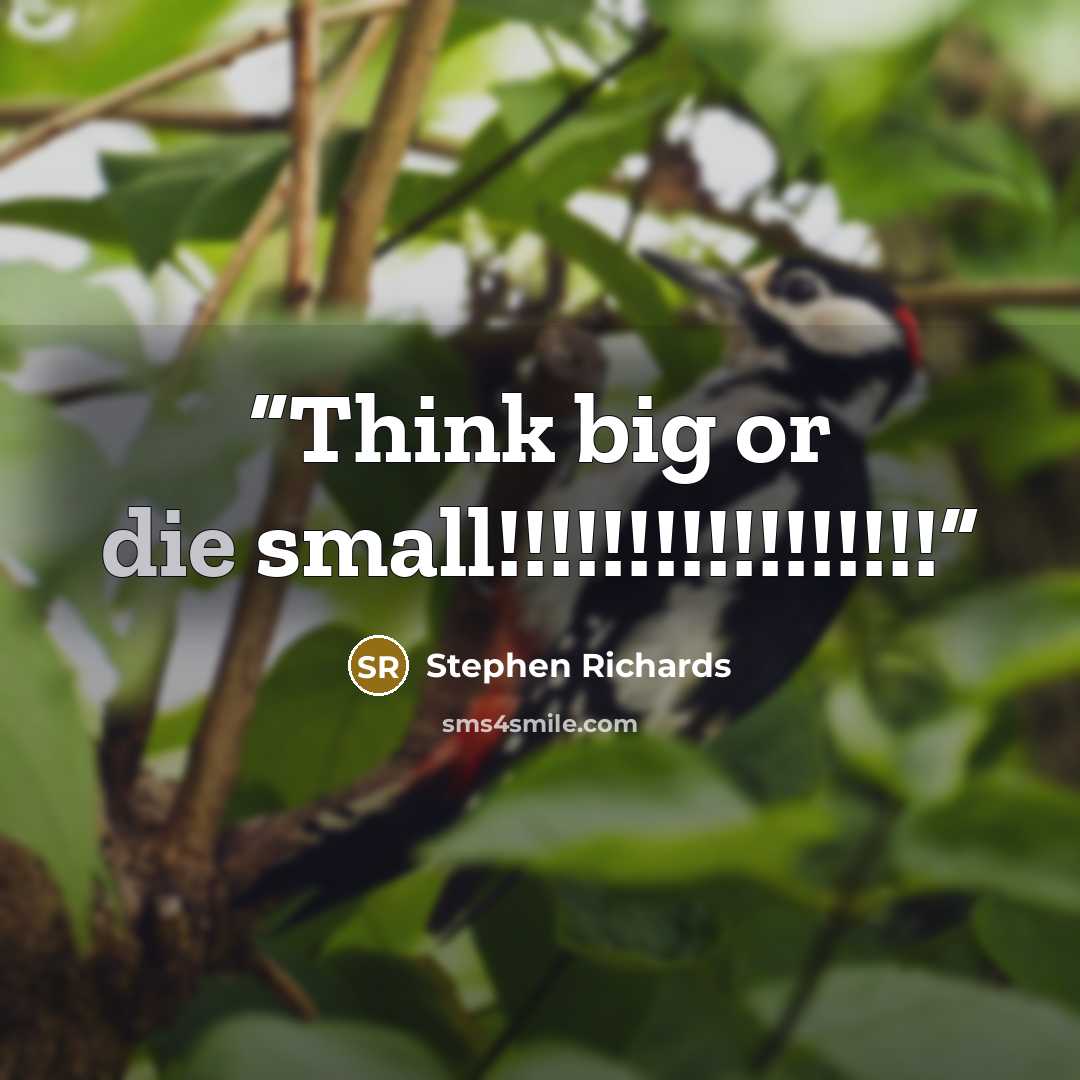 “Think big or die small!!!!!!!!!!!!!!!!!” quote by Stephen Richards