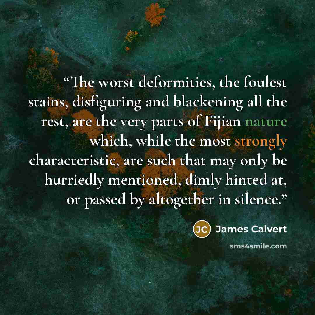 “The worst deformities, the foulest stains, disfiguring and blackening all the rest, are the very parts of Fijian nature which, while the most strongly characteristic, are such that may only be hurriedly mentioned, dimly hinted at, or passed by altogether in silence.” quote by James Calvert