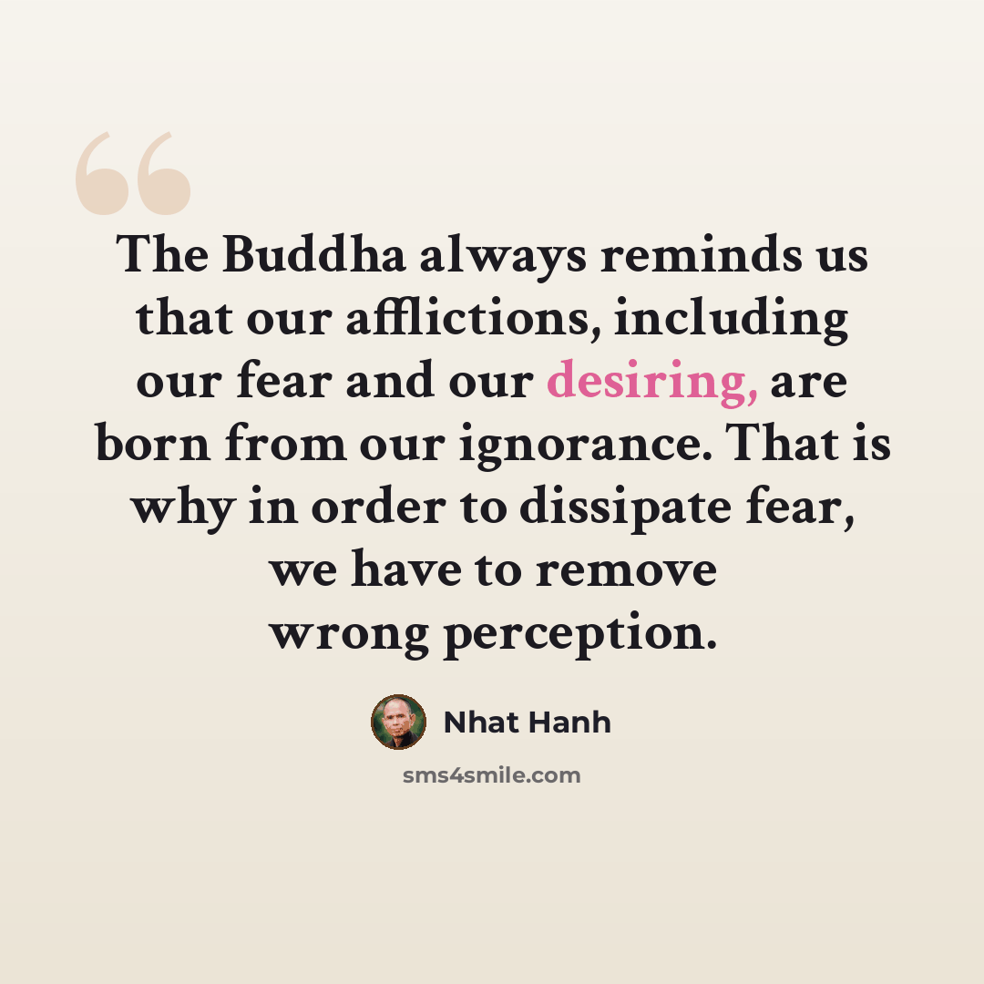 “The Buddha always reminds us that our afflictions, including our fear and our desiring, are born from our ignorance. That is why in order to dissipate fear, we have to remove wrong perception.” quote by Nhat Hanh