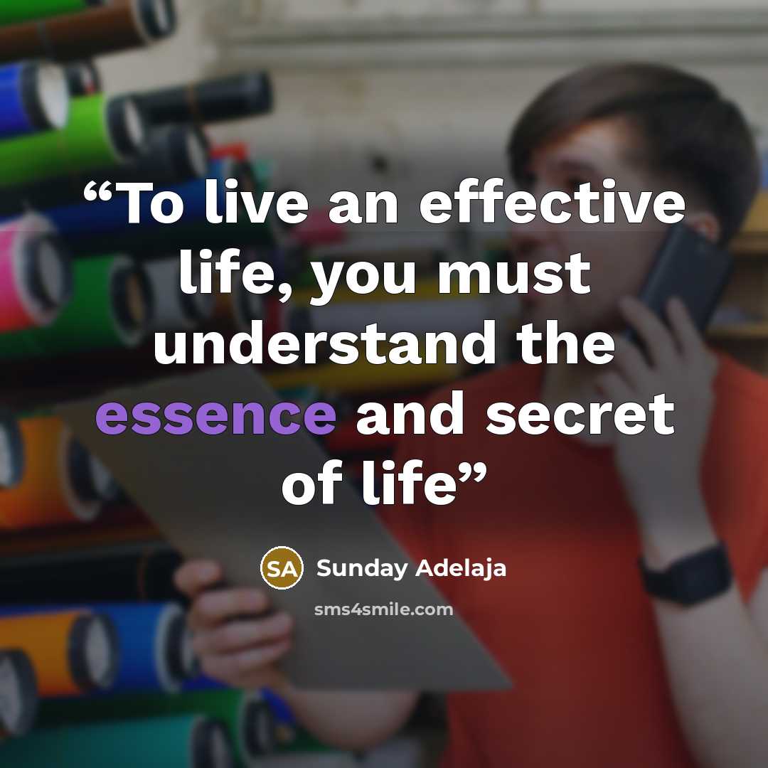 “To live an effective life, you must understand the essence and secret of life” quote by Sunday Adelaja