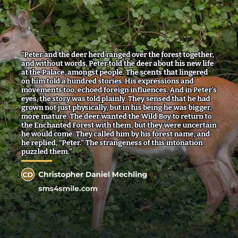 “Peter and the deer herd ranged over the forest together, and without words, Peter told the deer about his new life at the Palace, amongst people. The scents that lingered on him told a hundred stories. His expressions and movements too, echoed foreign influences. And in Peter’s eyes, the story was…” quote by Christopher Daniel Mechling