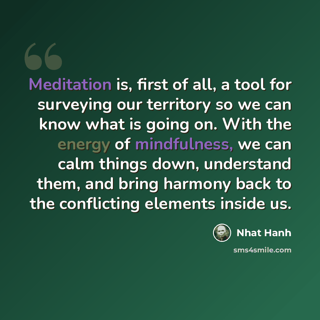“Meditation is, first of all, a tool for surveying our territory so we can know what is going on. With the energy of mindfulness, we can calm things down, understand them, and bring harmony back to the conflicting elements inside us.” quote by Nhat Hanh