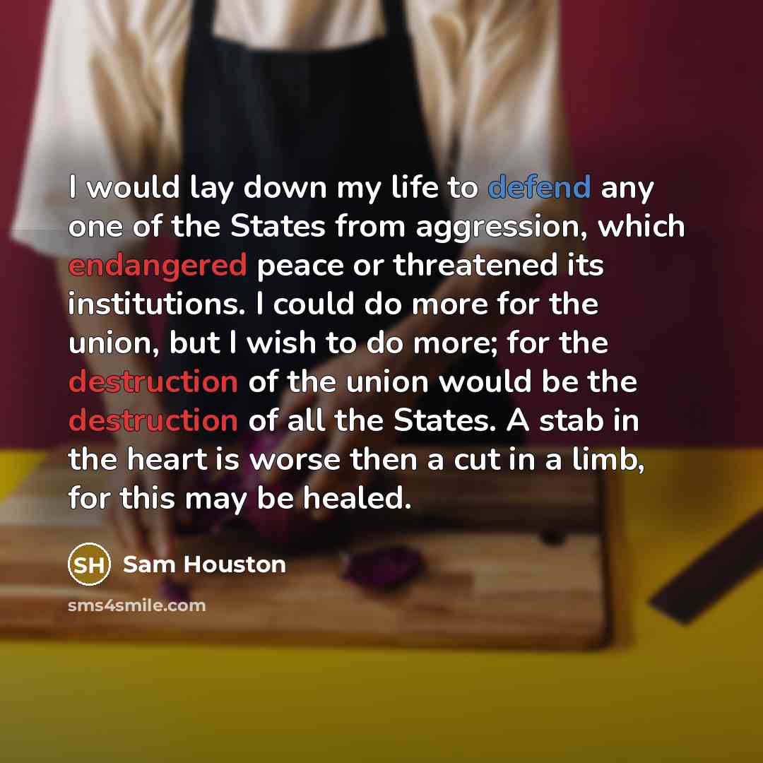 “I would lay down my life to defend any one of the States from aggression, which endangered peace or threatened its institutions. I could do more for the union, but I wish to do more; for the destruction of the union would be the destruction of all the States. A stab in the heart is worse then a…” quote by Sam Houston