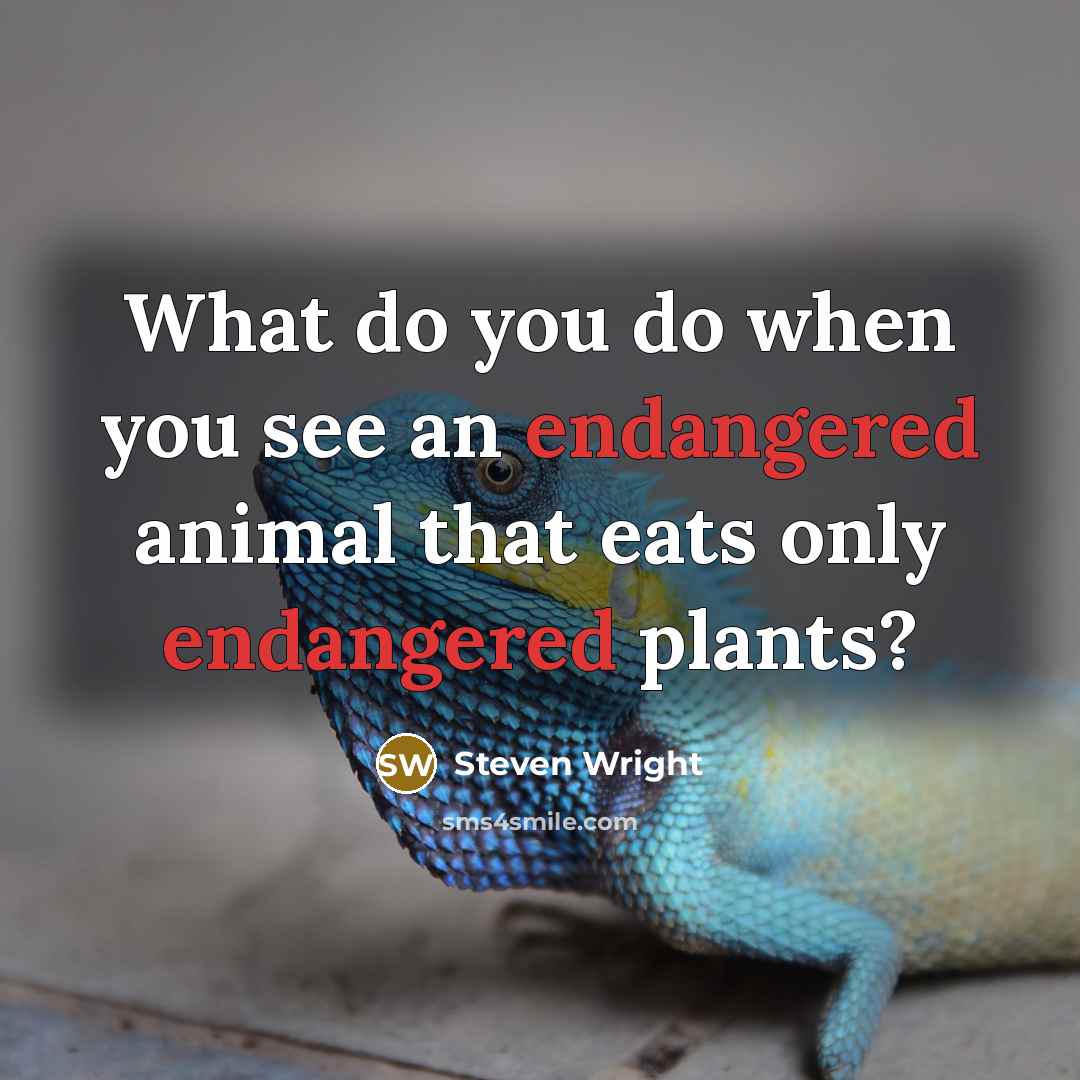 “What do you do when you see an endangered animal that eats only endangered plants?” quote by Steven Wright