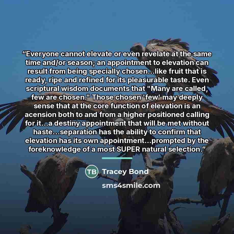 “Everyone cannot elevate or even revelate at the same time and/or season; an appointment to elevation can result from being specially chosen...like fruit that is ready, ripe and refined for its pleasurable taste. Even scriptural wisdom documents that "Many are called, few are chosen." Those chosen…” quote by Tracey Bond
