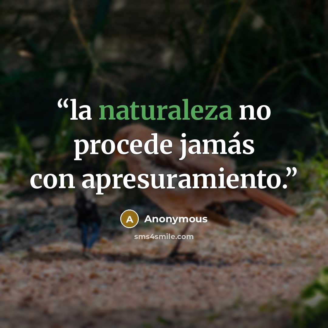 “la naturaleza no procede jamás con apresuramiento.” quote by Anonymous