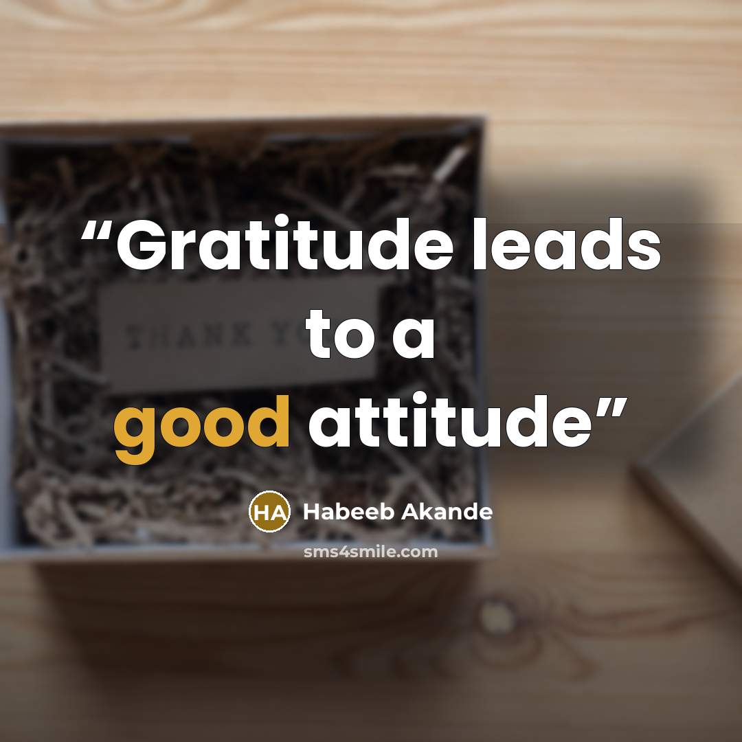 “Gratitude leads to a good attitude” quote by Habeeb Akande