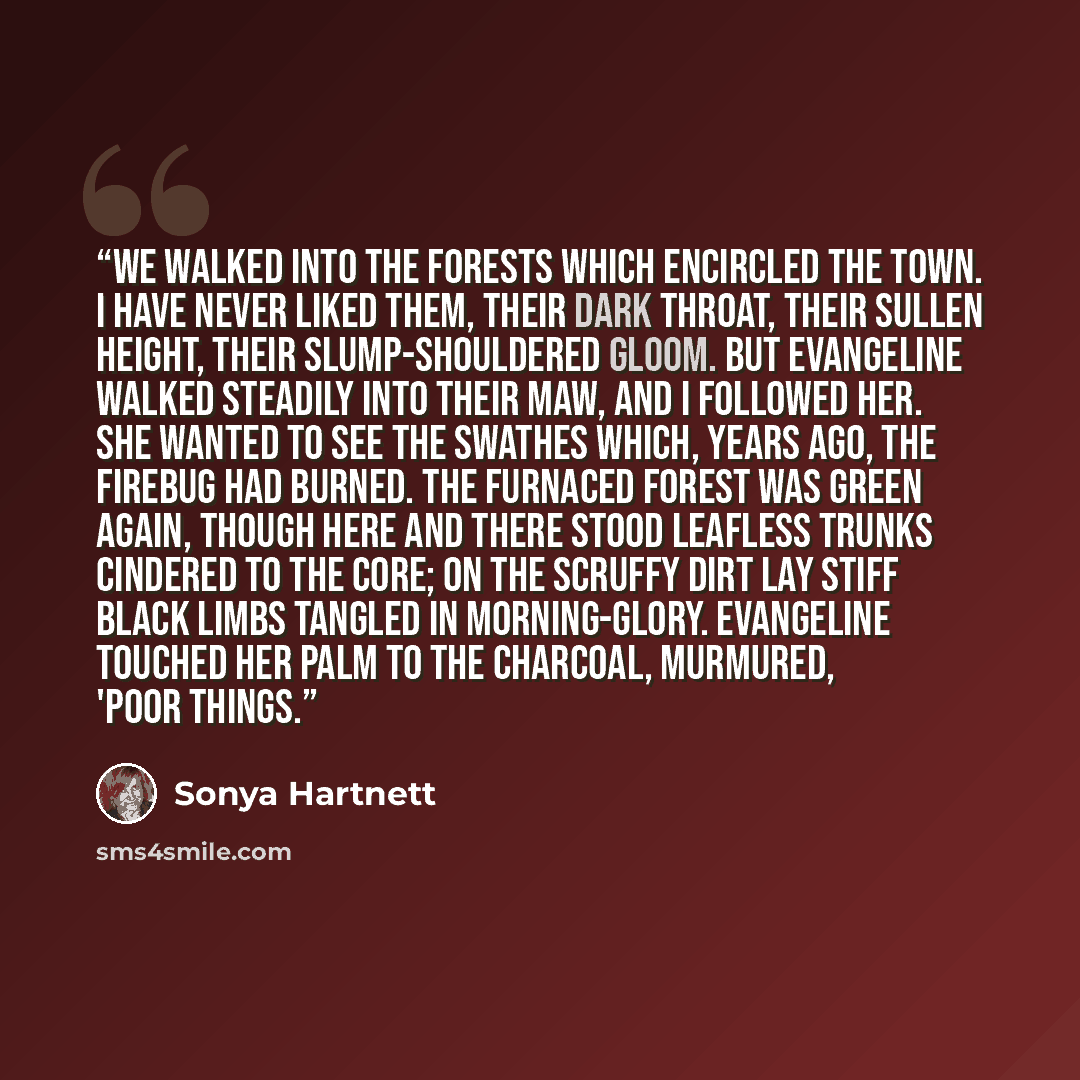 “We walked into the forests which encircled the town. I have never liked them, their dark throat, their sullen height, their slump-shouldered gloom. But Evangeline walked steadily into their maw, and I followed her. She wanted to see the swathes which, years ago, the firebug had burned. The…” quote by Sonya Hartnett