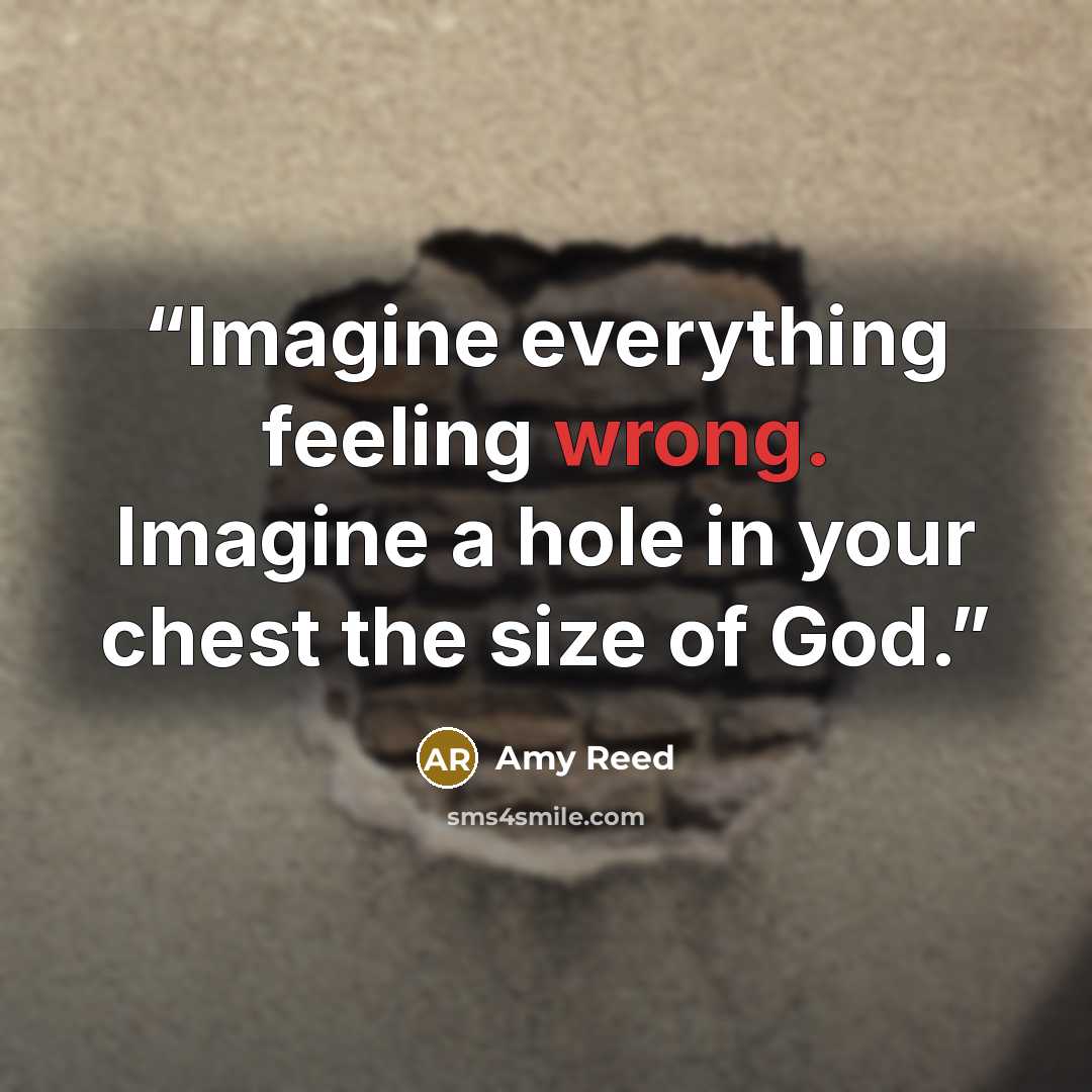 “Imagine everything feeling wrong. Imagine a hole in your chest the size of God.” quote by Amy Reed