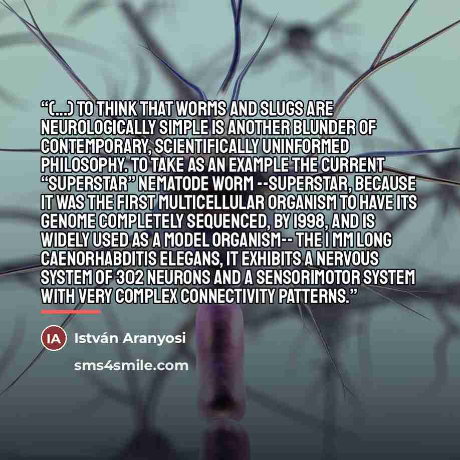 “(...) to think that worms and slugs are neurologically simple is another blunder of contemporary, scientifically uninformed philosophy. To take as an example the current “superstar” nematode worm --superstar, because it was the first multicellular organism to have its genome completely sequenced…” quote by István Aranyosi