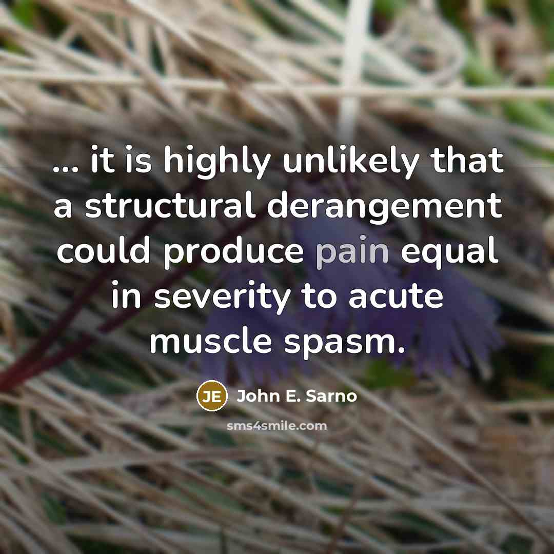 “... it is highly unlikely that a structural derangement could produce pain equal in severity to acute muscle spasm.” quote by John E. Sarno