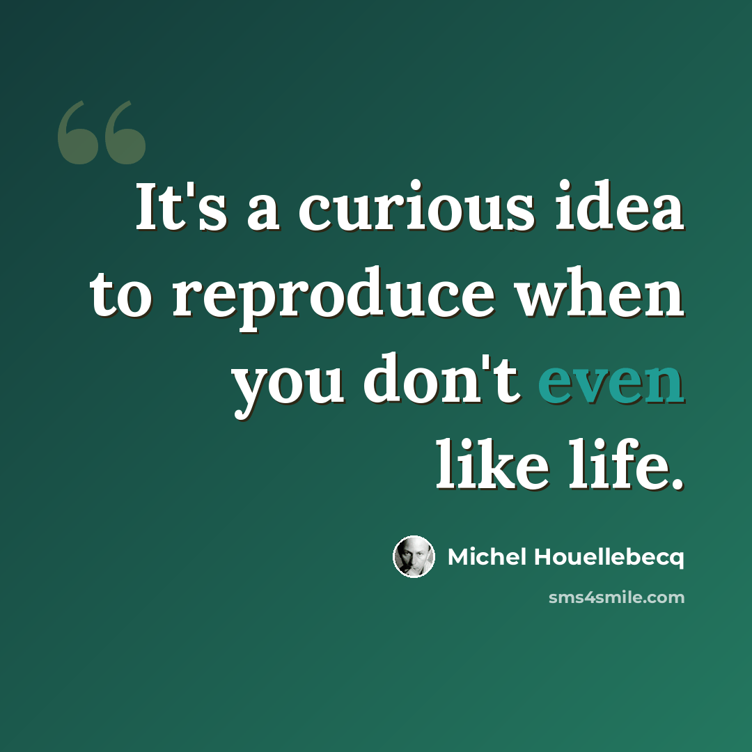 “It's a curious idea to reproduce when you don't even like life.” quote by Michel Houellebecq