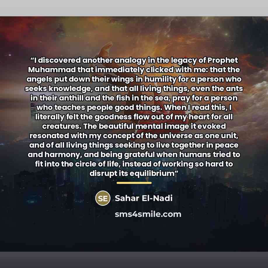 “I discovered another analogy in the legacy of Prophet Muhammad that immediately clicked with me: that the angels put down their wings in humility for a person who seeks knowledge, and that all living things, even the ants in their anthill and the fish in the sea, pray for a person who teaches…” quote by Sahar El-Nadi