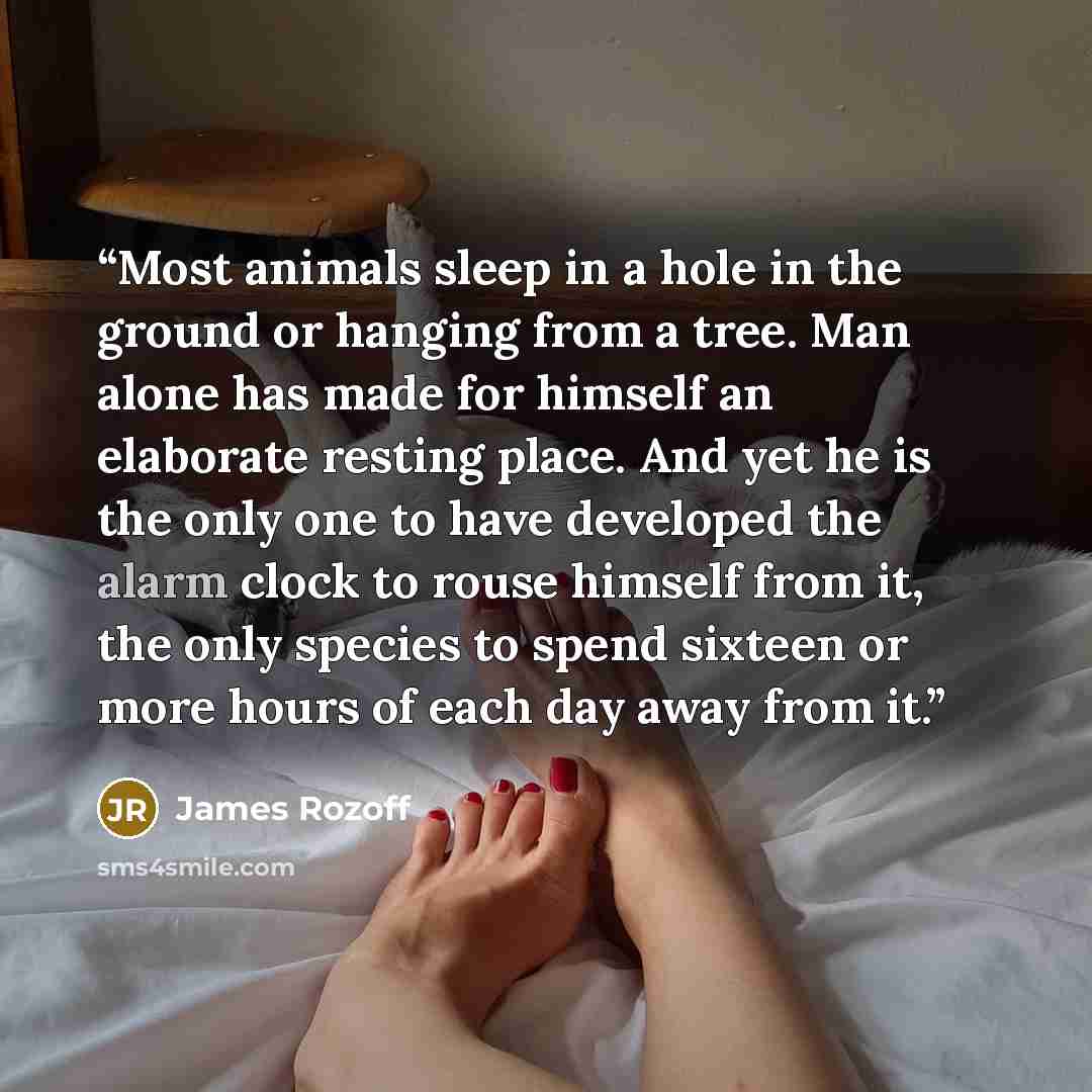 “Most animals sleep in a hole in the ground or hanging from a tree. Man alone has made for himself an elaborate resting place. And yet he is the only one to have developed the alarm clock to rouse himself from it, the only species to spend sixteen or more hours of each day away from it.” quote by James Rozoff