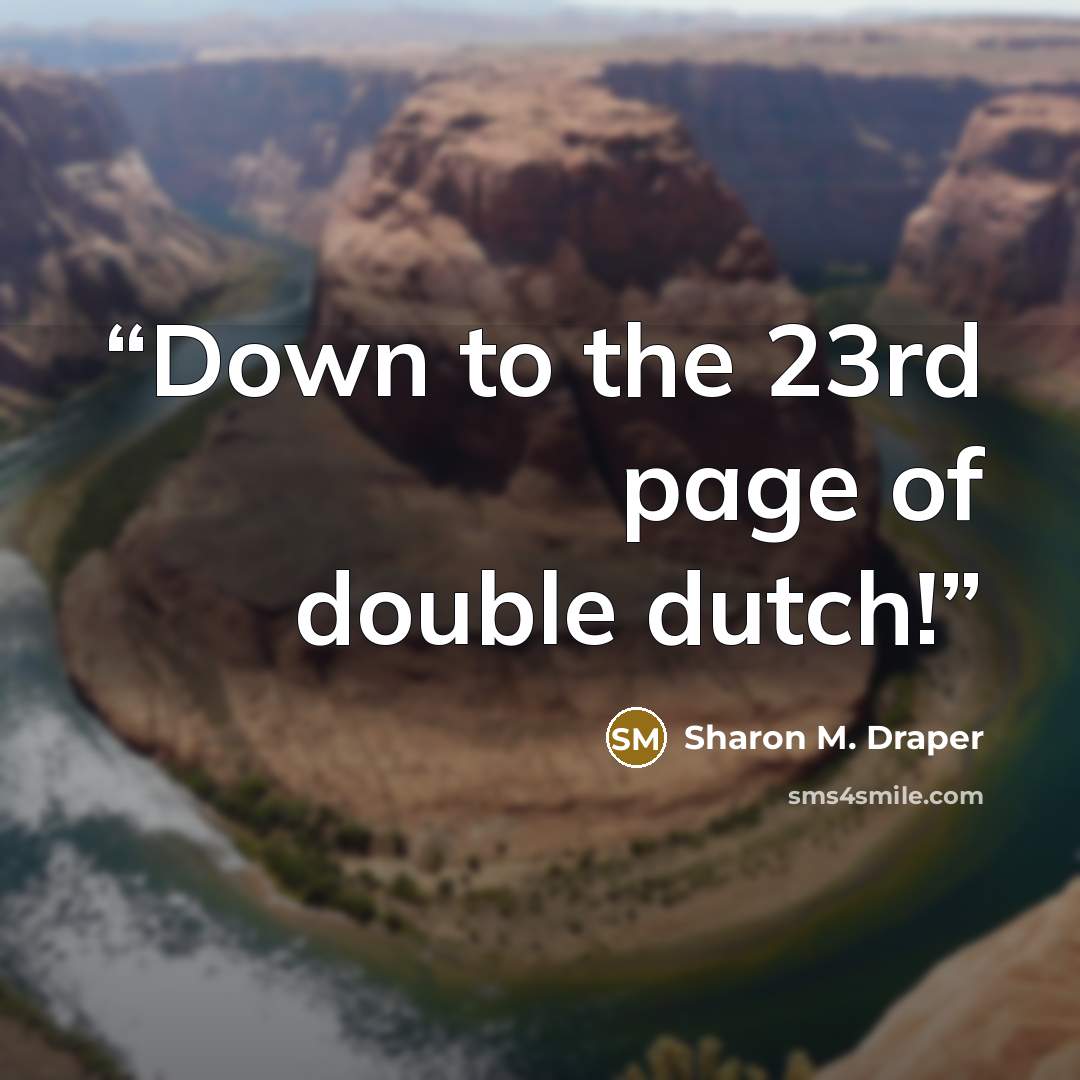 “Down to the 23rd page of double dutch!” quote by Sharon M. Draper