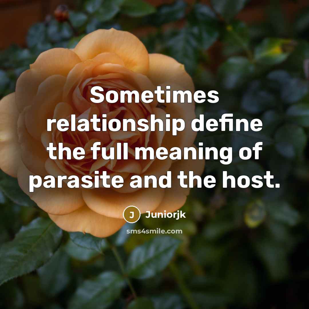 “Sometimes relationship define the full meaning of parasite and the host.” quote by Juniorjk