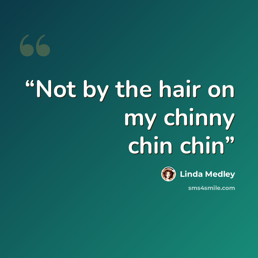 “Not by the hair on my chinny chin chin” quote by Linda Medley