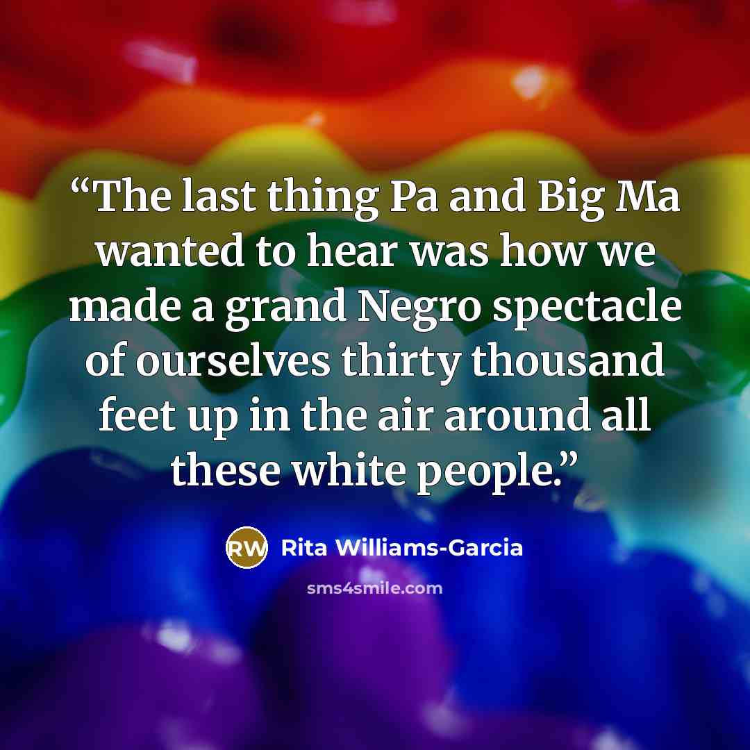 “The last thing Pa and Big Ma wanted to hear was how we made a grand Negro spectacle of ourselves thirty thousand feet up in the air around all these white people.” quote by Rita Williams-Garcia