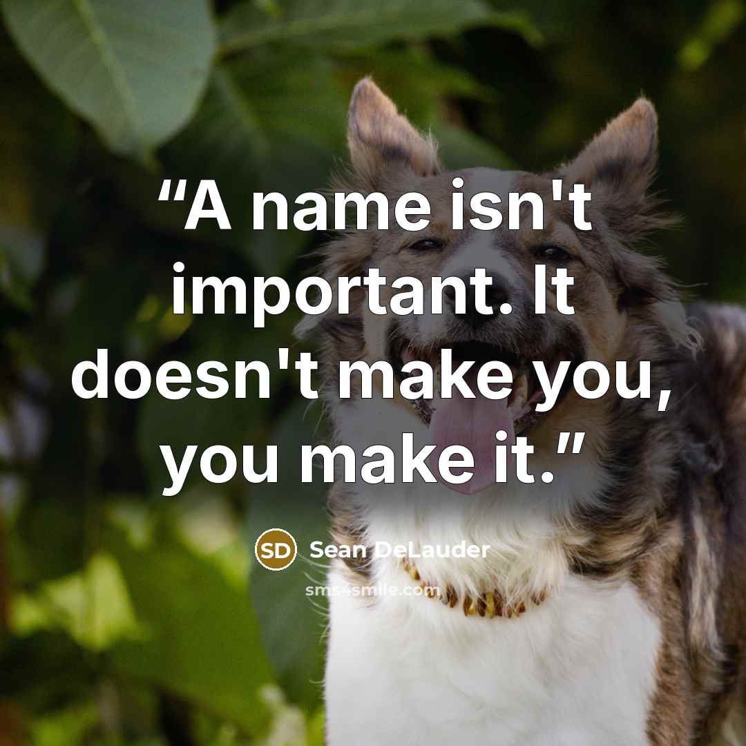 “A name isn't important. It doesn't make you, you make it.” quote by Sean DeLauder