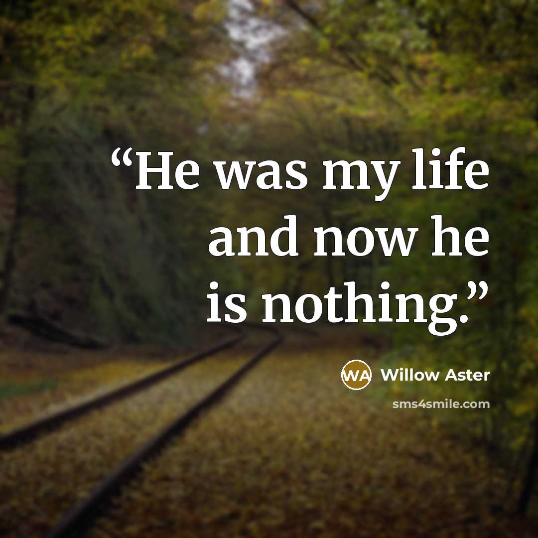 “He was my life and now he is nothing.” quote by Willow Aster