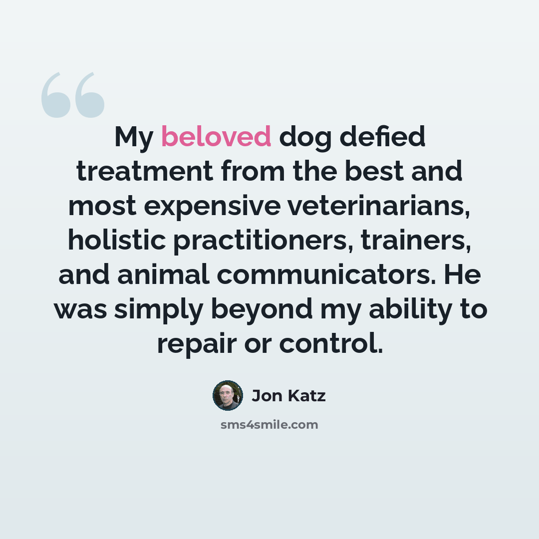 “My beloved dog defied treatment from the best and most expensive veterinarians, holistic practitioners, trainers, and animal communicators. He was simply beyond my ability to repair or control.” quote by Jon Katz
