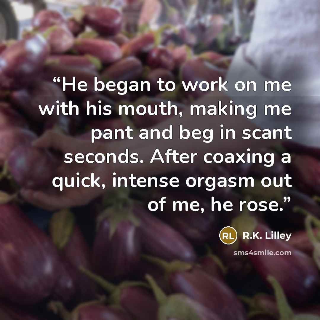“He began to work on me with his mouth, making me pant and beg in scant seconds. After coaxing a quick, intense orgasm out of me, he rose.” quote by R.K. Lilley
