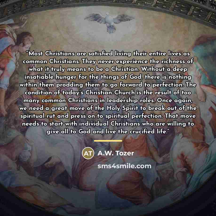 “Most Christians are satisfied living their entire lives as common Christians. They never experience the richness of what it truly means to be a Christian. Without a deep insatiable hunger for the things of God, there is nothing within them prodding them to go forward to perfection. The condition…” quote by A.W. Tozer