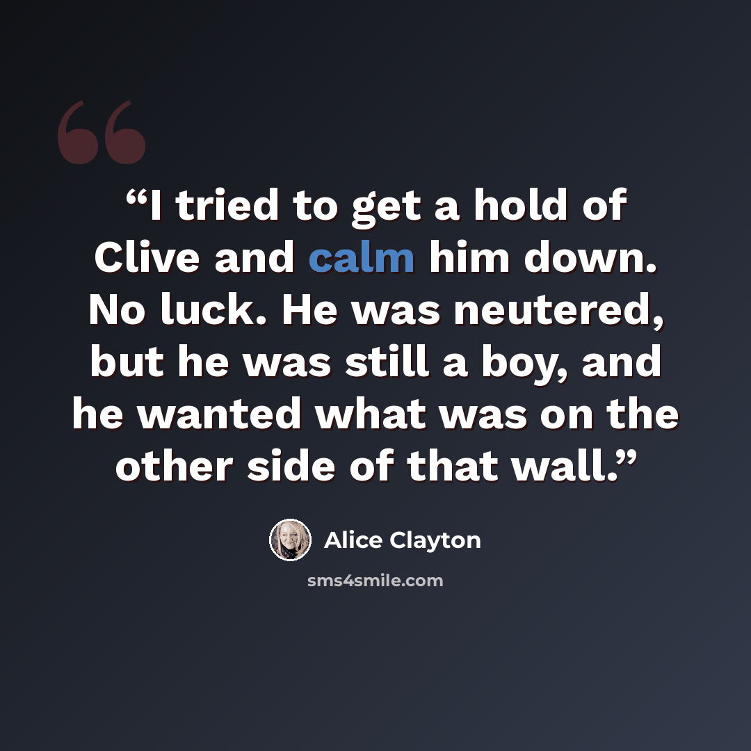 “I tried to get a hold of Clive and calm him down. No luck. He was neutered, but he was still a boy, and he wanted what was on the other side of that wall.” quote by Alice Clayton