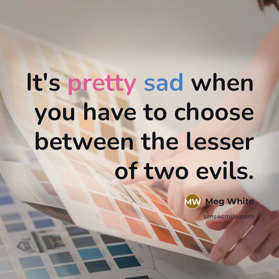 “It's pretty sad when you have to choose between the lesser of two evils.” quote by Meg White