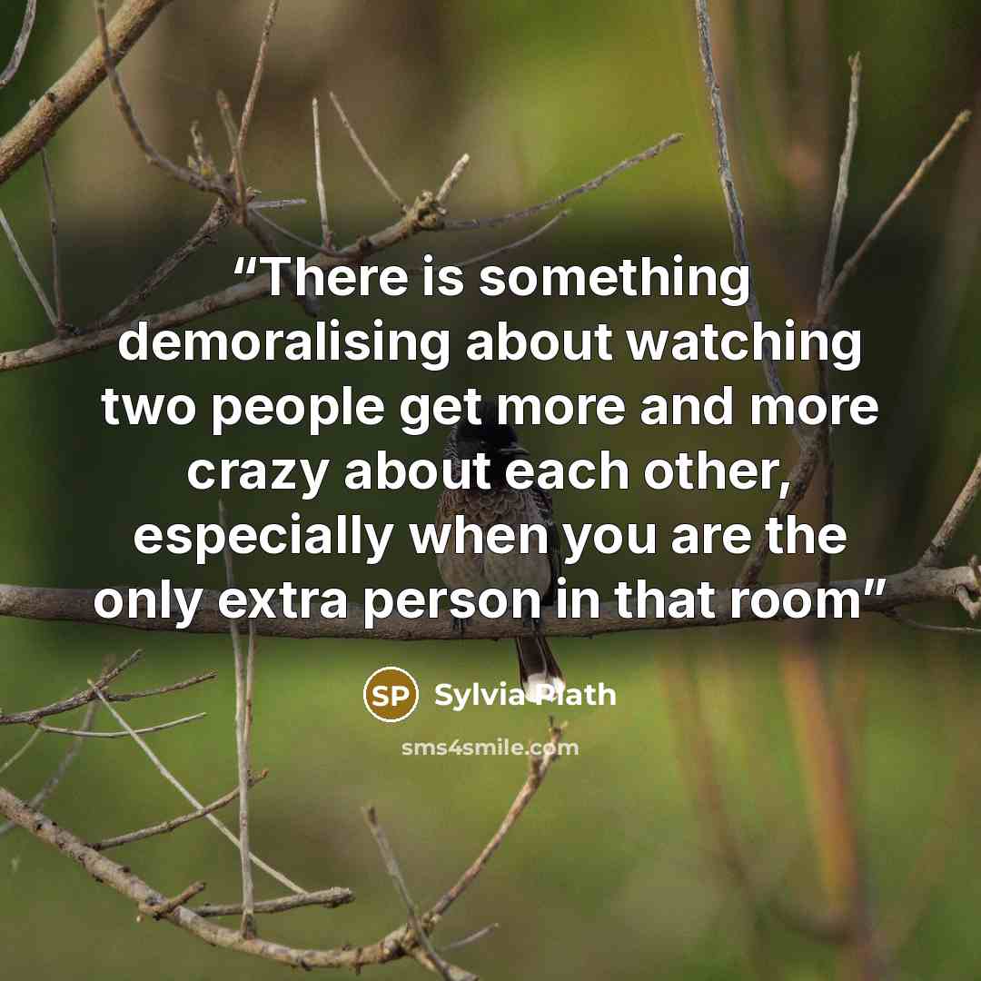 “There is something demoralising about watching two people get more and more crazy about each other, especially when you are the only extra person in that room” quote by Sylvia Plath