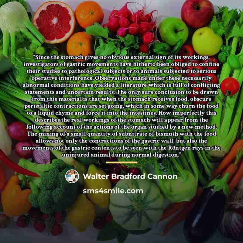 “Since the stomach gives no obvious external sign of its workings, investigators of gastric movements have hitherto been obliged to confine their studies to pathological subjects or to animals subjected to serious operative interference. Observations made under these necessarily abnormal conditions…” quote by Walter Bradford Cannon