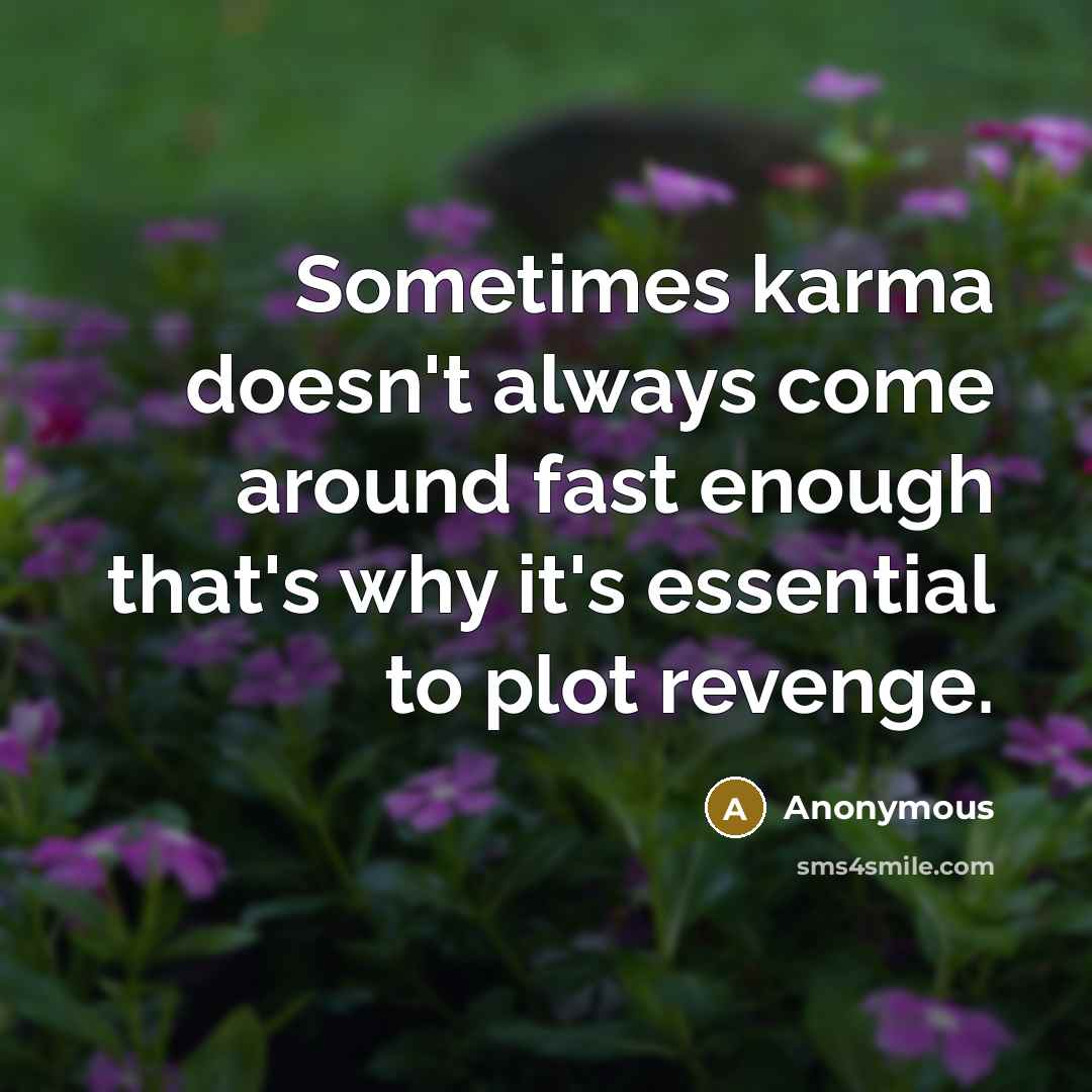 “Sometimes karma doesn't always come around fast enough that's why it's essential to plot revenge.” quote by Anonymous