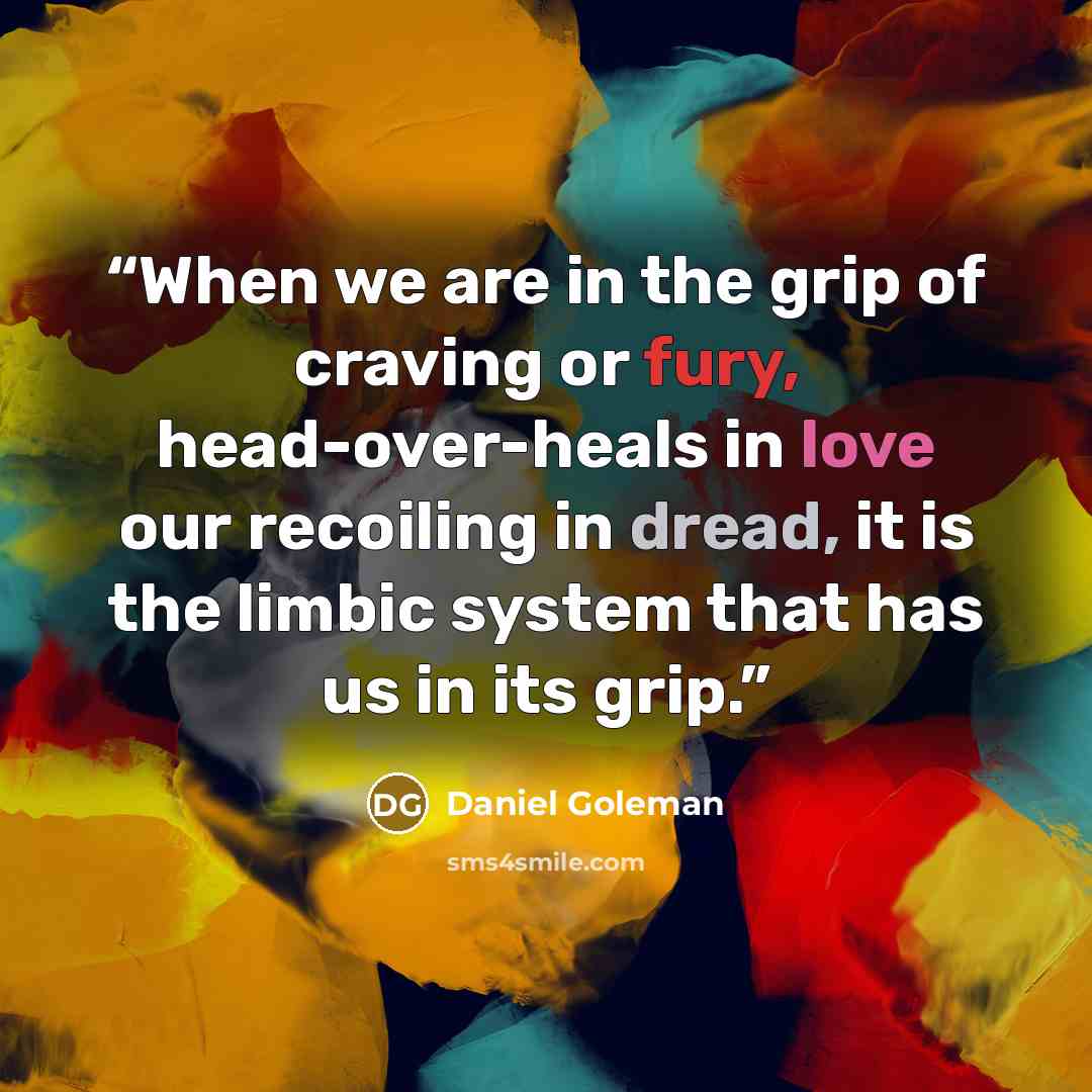 “When we are in the grip of craving or fury, head-over-heals in love our recoiling in dread, it is the limbic system that has us in its grip.” quote by Daniel Goleman
