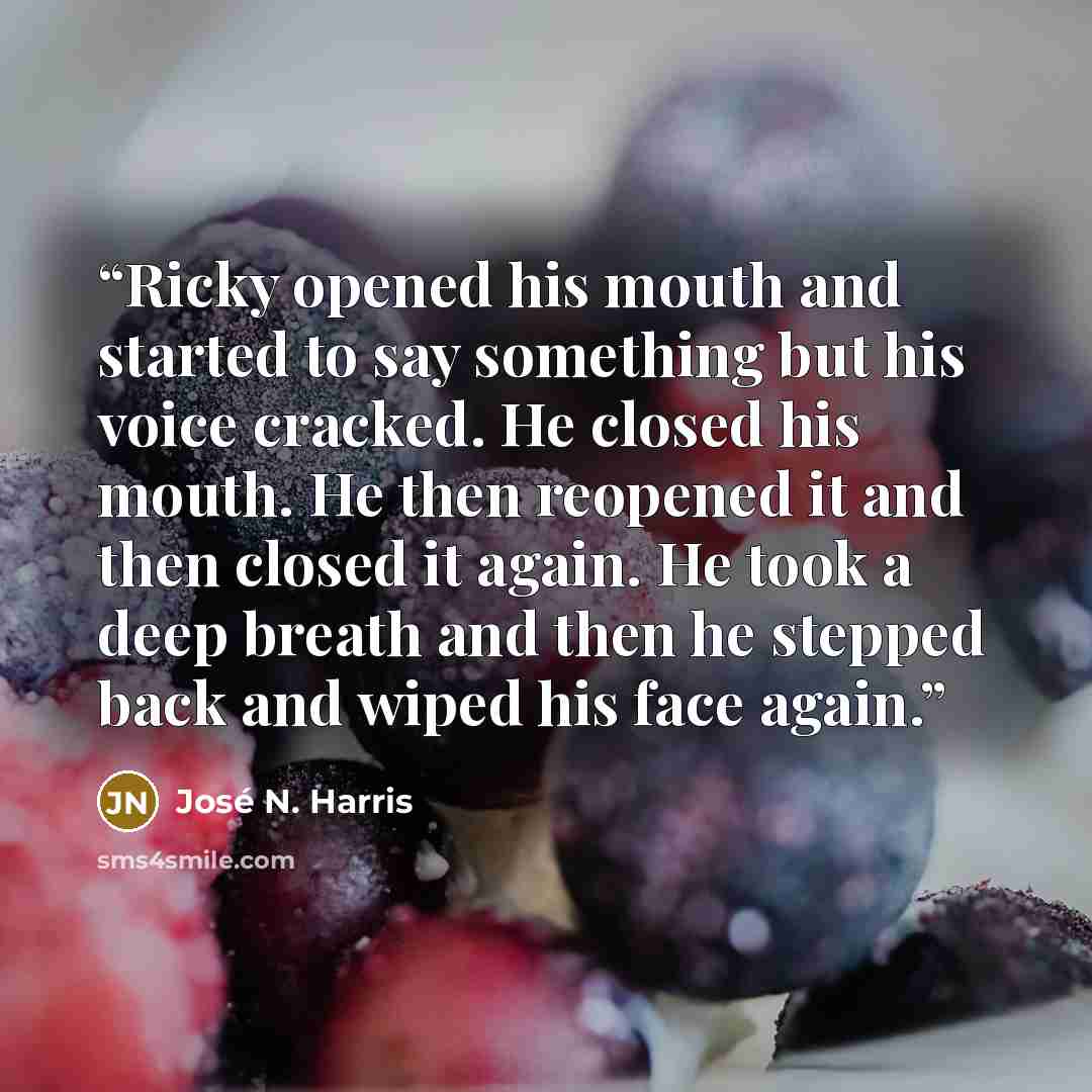 “Ricky opened his mouth and started to say something but his voice cracked. He closed his mouth. He then reopened it and then closed it again. He took a deep breath and then he stepped back and wiped his face again.” quote by José N. Harris