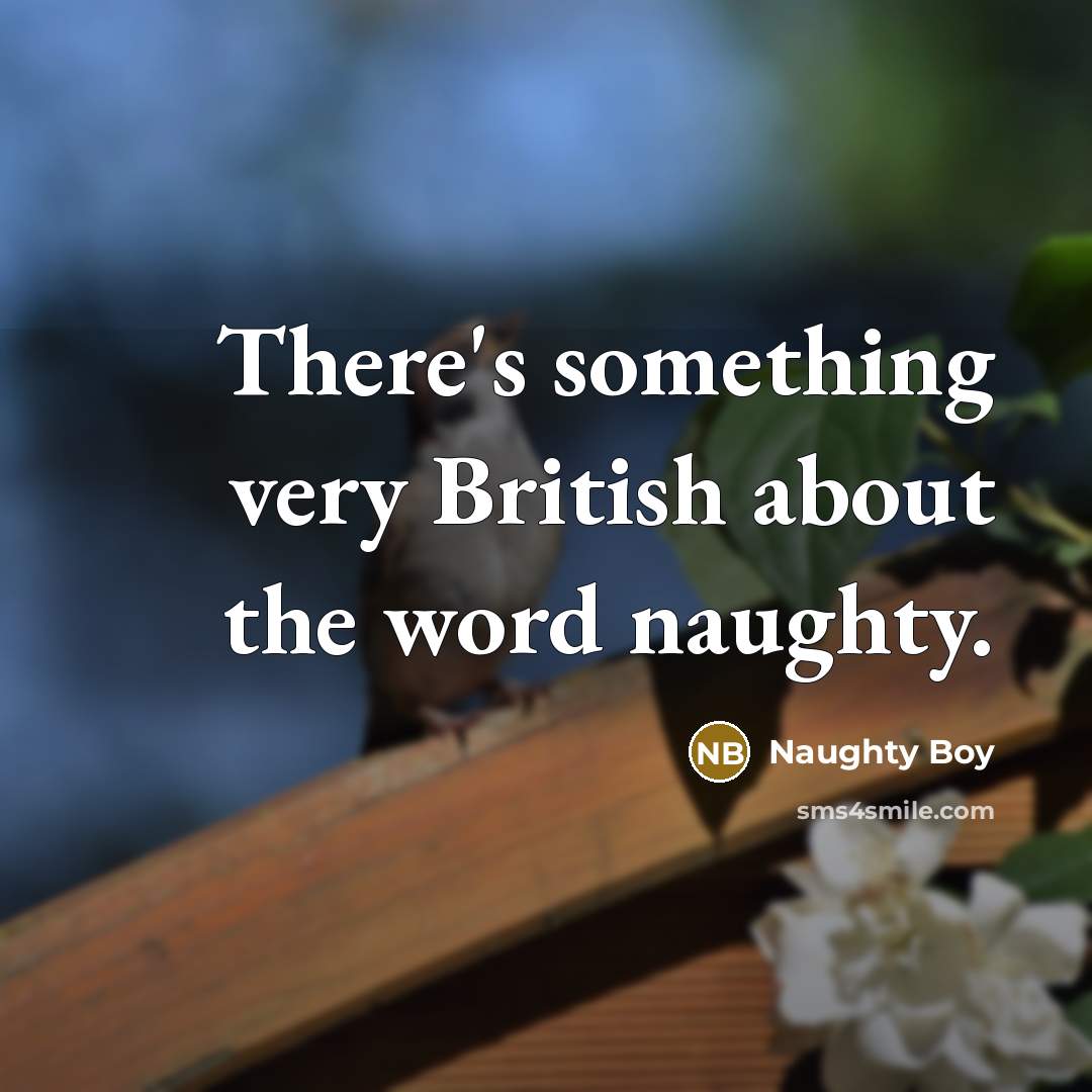 “There's something very British about the word naughty.” quote by Naughty Boy