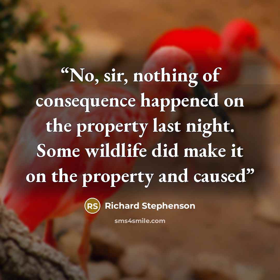 “No, sir, nothing of consequence happened on the property last night. Some wildlife did make it on the property and caused” quote by Richard Stephenson