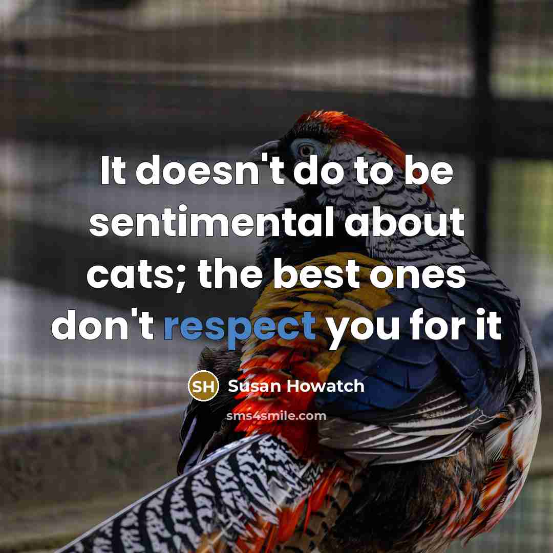 “It doesn't do to be sentimental about cats; the best ones don't respect you for it” quote by Susan Howatch