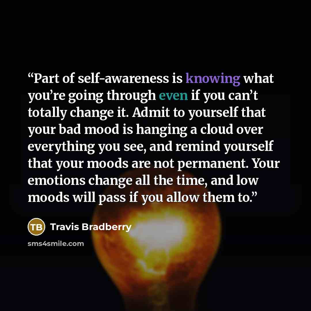 “Part of self-awareness is knowing what you’re going through even if you can’t totally change it. Admit to yourself that your bad mood is hanging a cloud over everything you see, and remind yourself that your moods are not permanent. Your emotions change all the time, and low moods will pass if you…” quote by Travis Bradberry