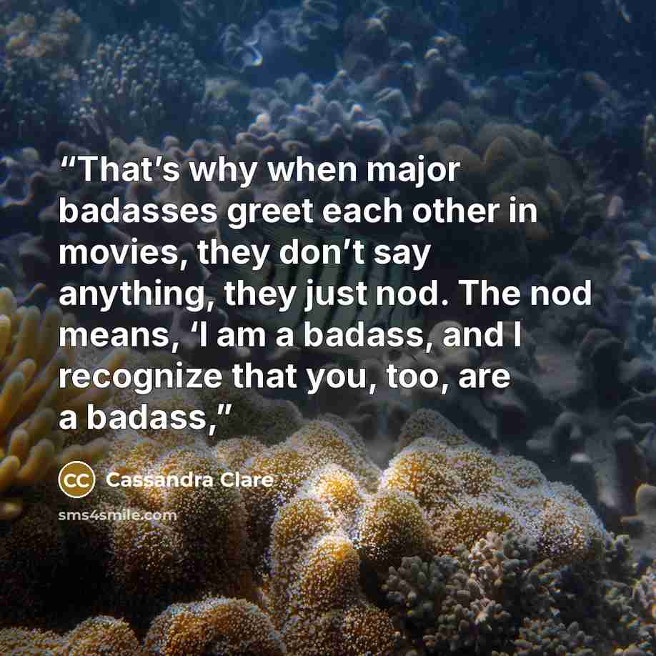 “That’s why when major badasses greet each other in movies, they don’t say anything, they just nod. The nod means, ‘I am a badass, and I recognize that you, too, are a badass,” quote by Cassandra Clare