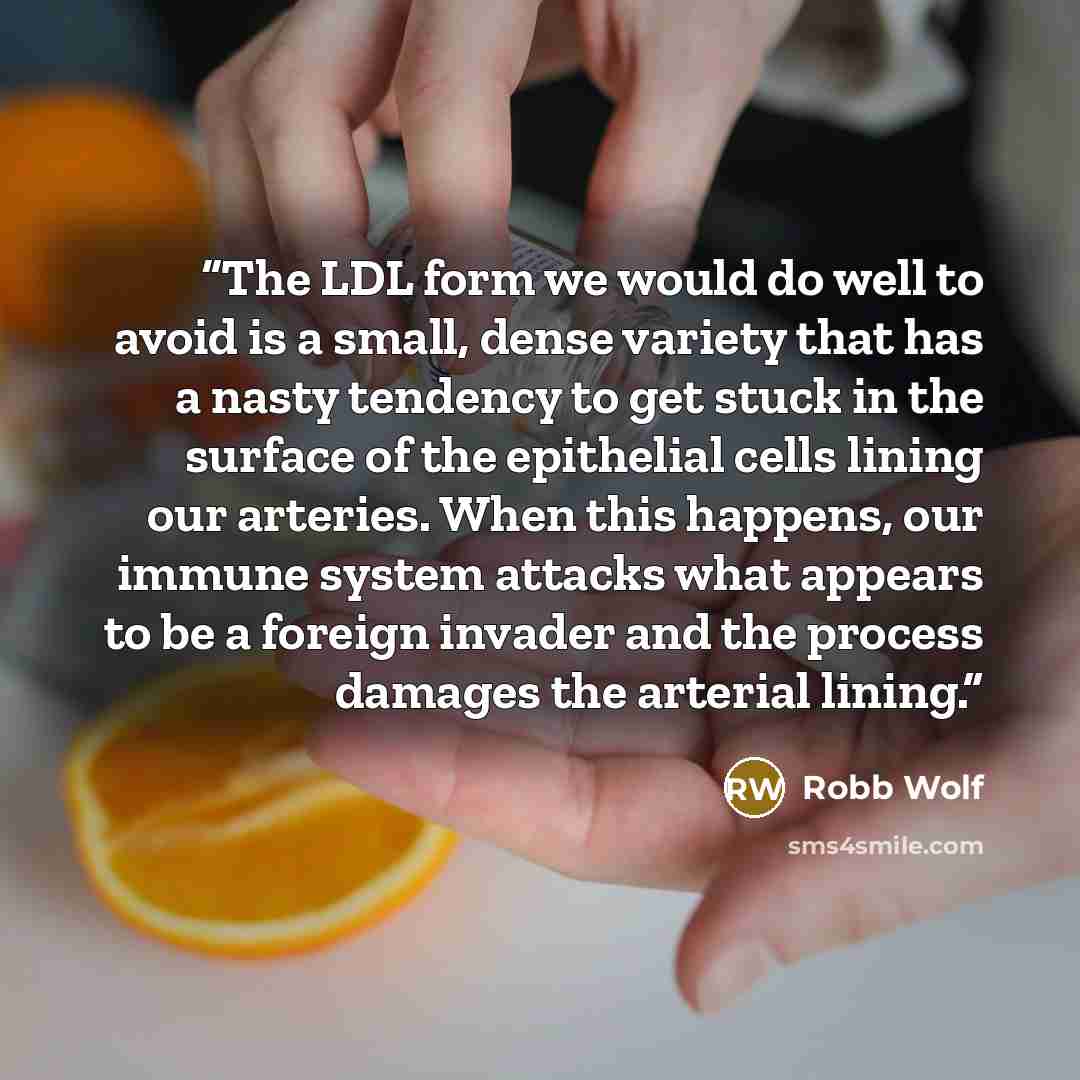 “The LDL form we would do well to avoid is a small, dense variety that has a nasty tendency to get stuck in the surface of the epithelial cells lining our arteries. When this happens, our immune system attacks what appears to be a foreign invader and the process damages the arterial lining.” quote by Robb Wolf