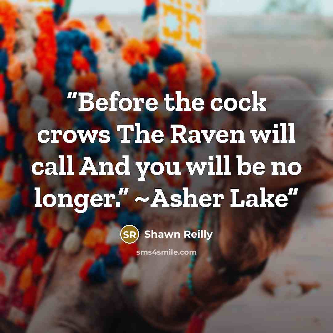 “Before the cock crows The Raven will call And you will be no longer.” ~Asher Lake” quote by Shawn Reilly