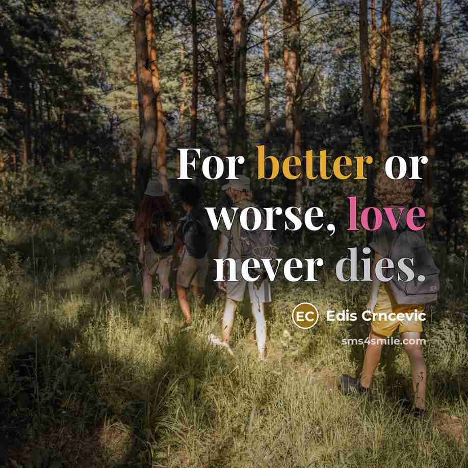 “For better or worse, love never dies.” quote by Edis Crncevic