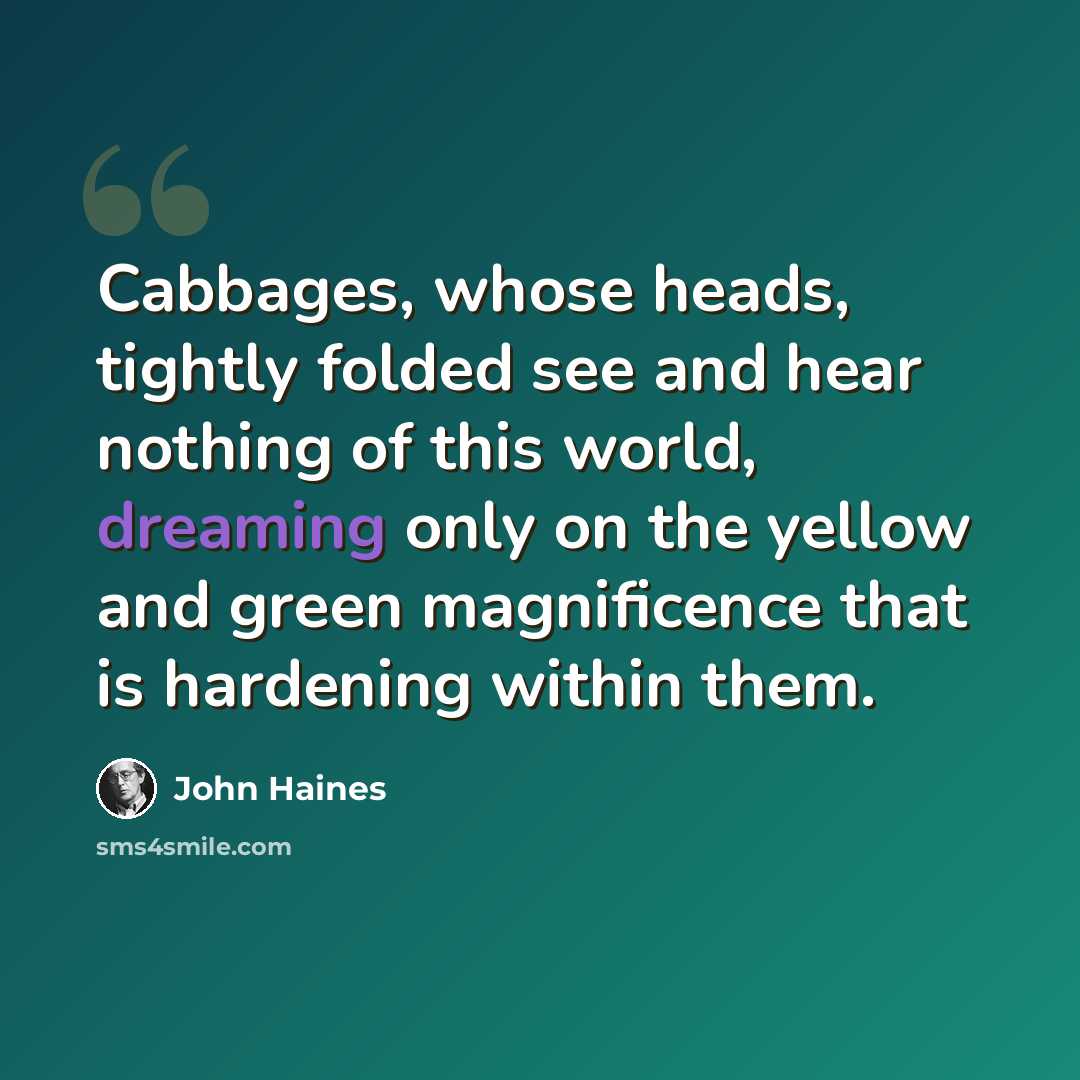 “Cabbages, whose heads, tightly folded see and hear nothing of this world, dreaming only on the yellow and green magnificence that is hardening within them.” quote by John Haines