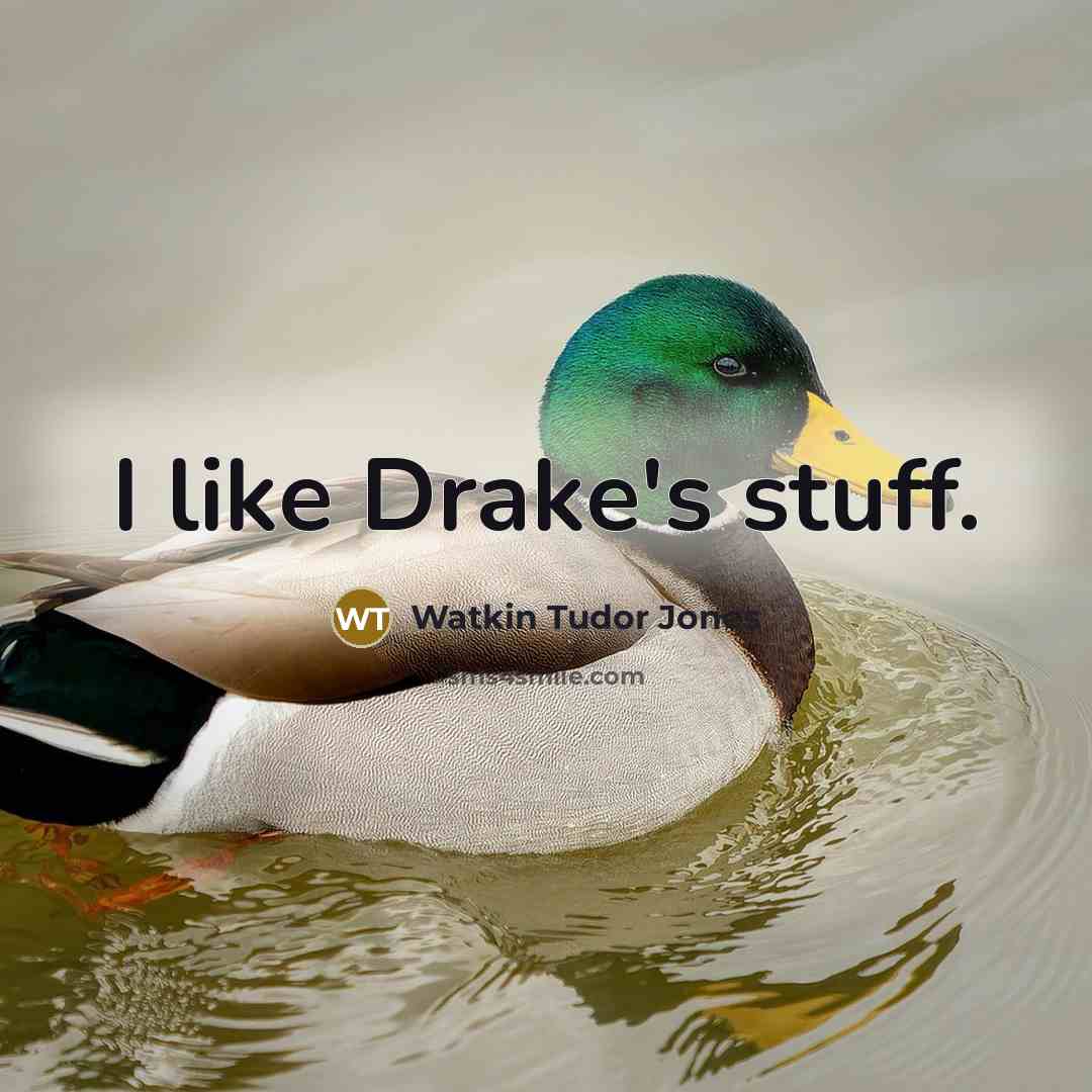 “I like Drake's stuff.” quote by Watkin Tudor Jones