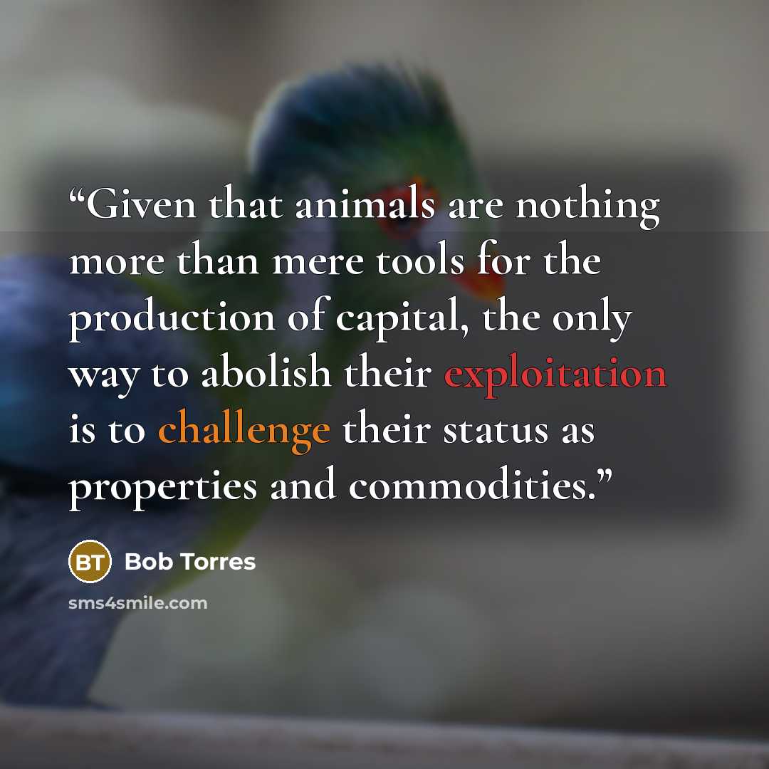 “Given that animals are nothing more than mere tools for the production of capital, the only way to abolish their exploitation is to challenge their status as properties and commodities.” quote by Bob Torres