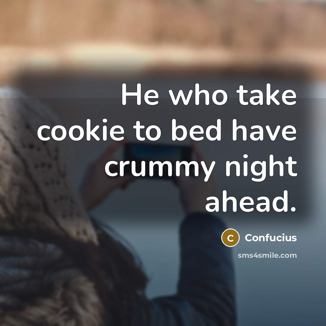 “He who take cookie to bed have crummy night ahead.” quote by Confucius