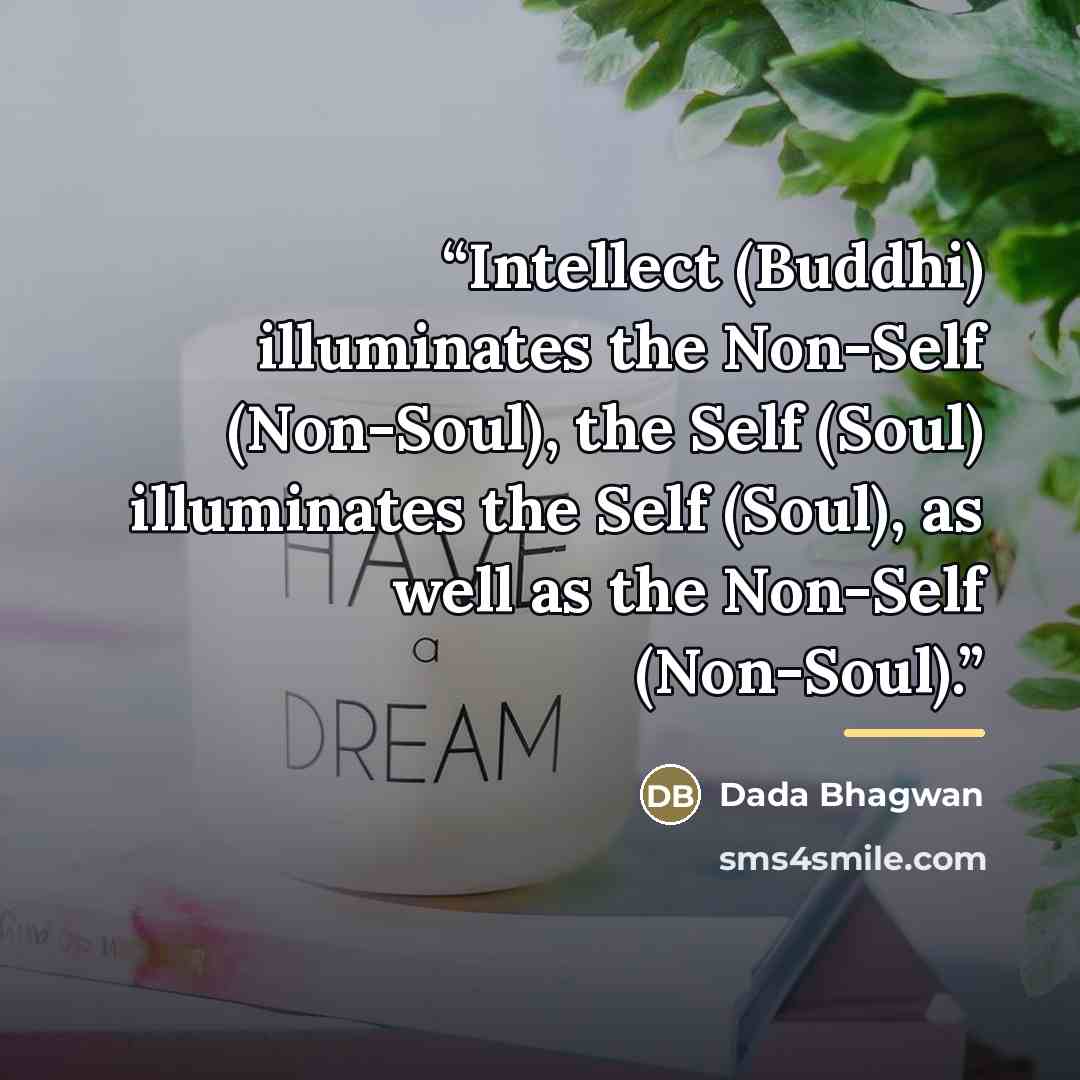 “Intellect (Buddhi) illuminates the Non-Self (Non-Soul), the Self (Soul) illuminates the Self (Soul), as well as the Non-Self (Non-Soul).” quote by Dada Bhagwan